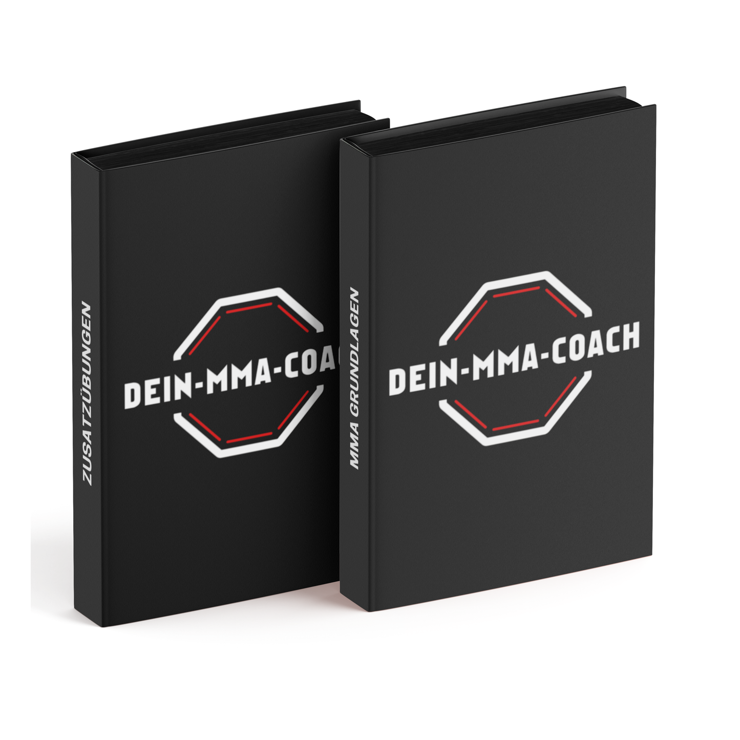 DEIN MMA COACH